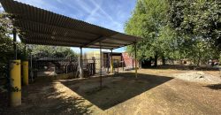 MARAVILLOSO CAMPO EN CAÑAVERALEJO