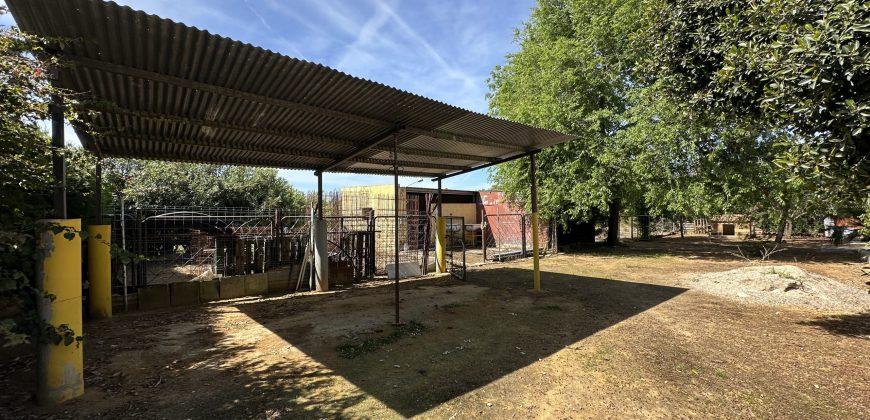 MARAVILLOSO CAMPO EN CAÑAVERALEJO