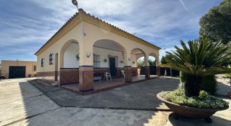 MARAVILLOSO CAMPO EN CAÑAVERALEJO