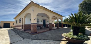 MARAVILLOSO CAMPO EN CAÑAVERALEJO