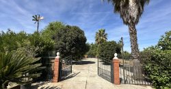 MARAVILLOSO CAMPO EN CAÑAVERALEJO