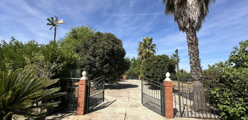 MARAVILLOSO CAMPO EN CAÑAVERALEJO