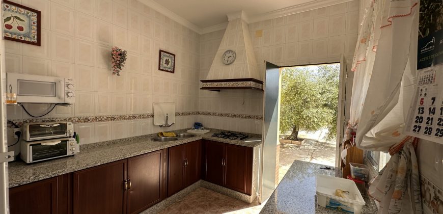 MARAVILLOSO CAMPO EN CAÑAVERALEJO