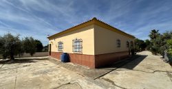 MARAVILLOSO CAMPO EN CAÑAVERALEJO