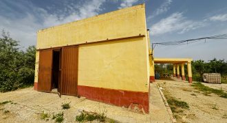 CAMPO EN LA MATA CON CASA Y NAVE ! MORON DE LA FRONTERA