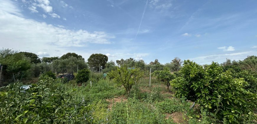 PARCELA URBANA