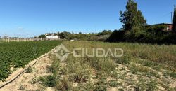 Terreno rústico en Veta la Serrana