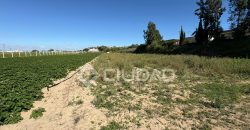 Terreno rústico en Veta la Serrana