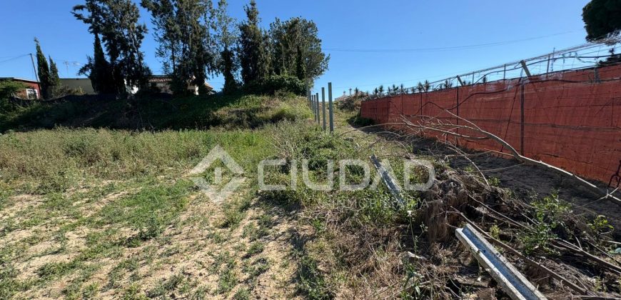 Terreno rústico en Veta la Serrana