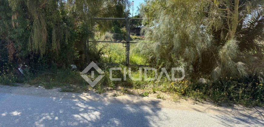 Terreno rústico en Veta la Serrana