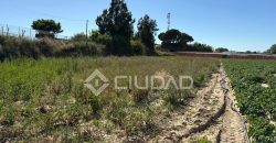 Terreno rústico en Veta la Serrana
