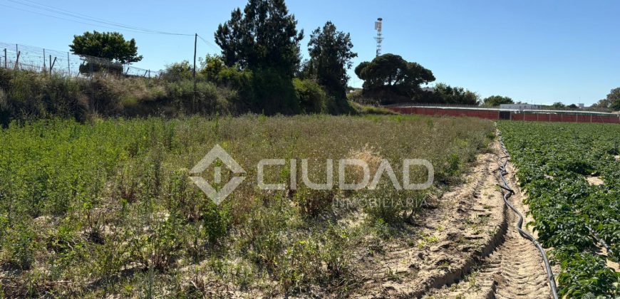 Terreno rústico en Veta la Serrana
