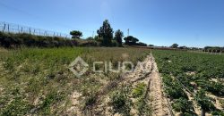 Terreno rústico en Veta la Serrana