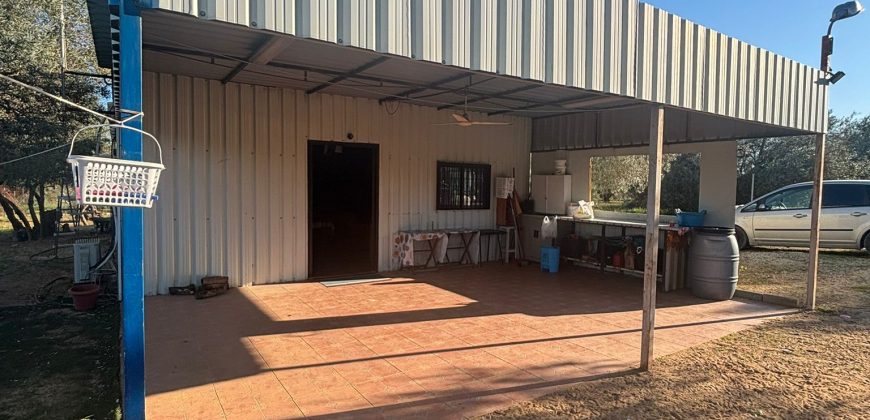 ¡CAMPO EN VENTA EN LOS OLIVARES !