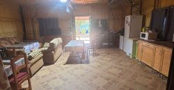 ¡CAMPO EN VENTA EN LOS OLIVARES !