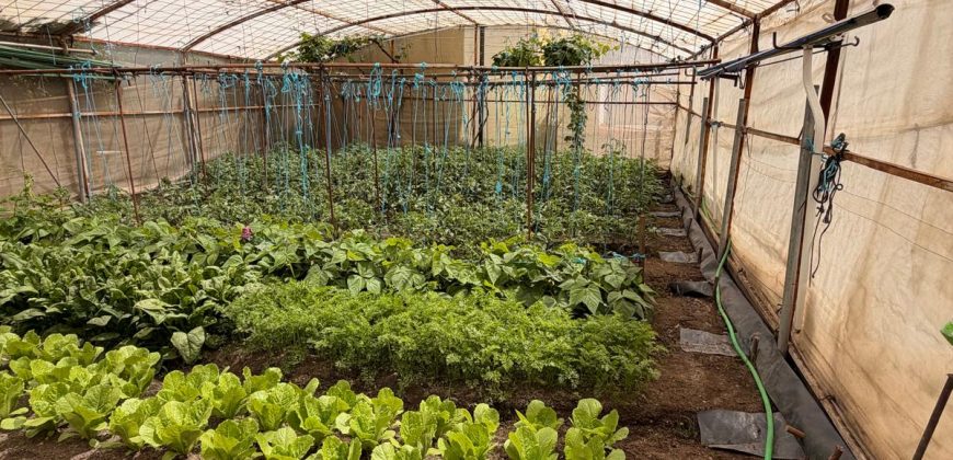 ¡ 2 VIVIENDAS EN VENTA EN URBANIZACIÓN EL CALVARIO !