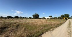 ¡PARCELA EN VENTA EN LLANOVERDE , C/AZAFRAN !