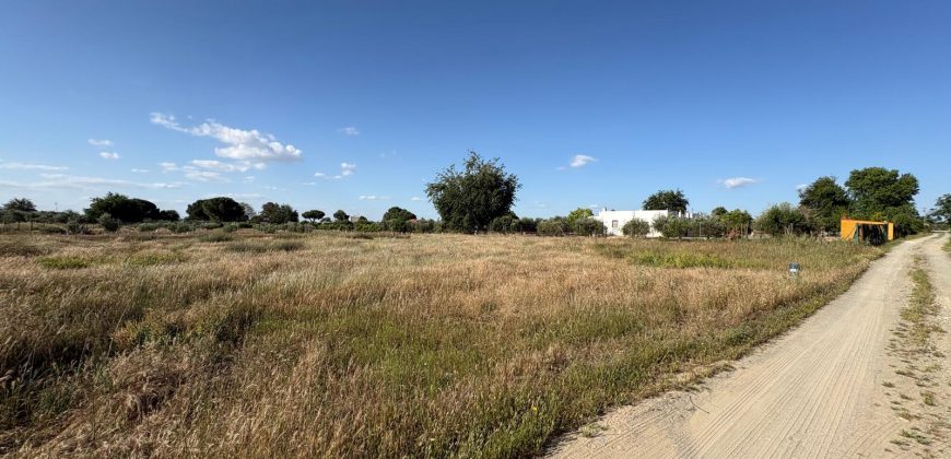 ¡PARCELA EN VENTA EN LLANOVERDE , C/AZAFRAN !