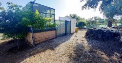 Finca rústica – El Pedroso