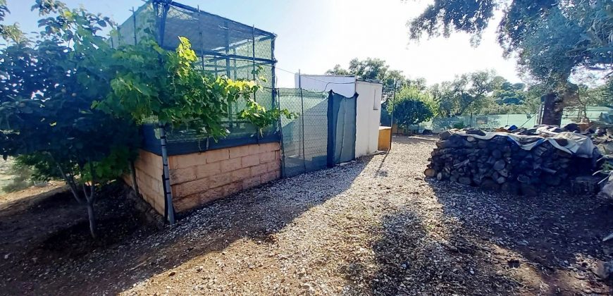 Finca rústica – El Pedroso