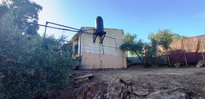 Finca rústica – El Pedroso