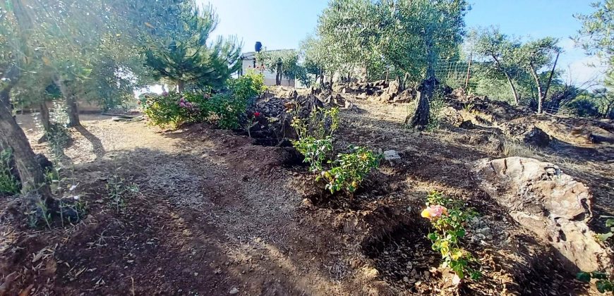Finca rústica – El Pedroso