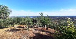 Finca rústica – El Pedroso