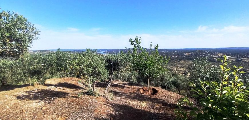 Finca rústica – El Pedroso