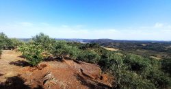 Finca rústica – El Pedroso