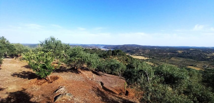 Finca rústica – El Pedroso