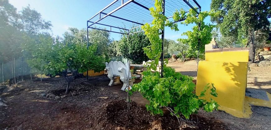 Finca rústica – El Pedroso