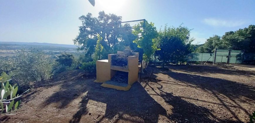 Finca rústica – El Pedroso