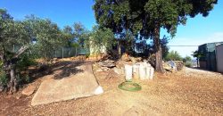 Finca rústica – El Pedroso