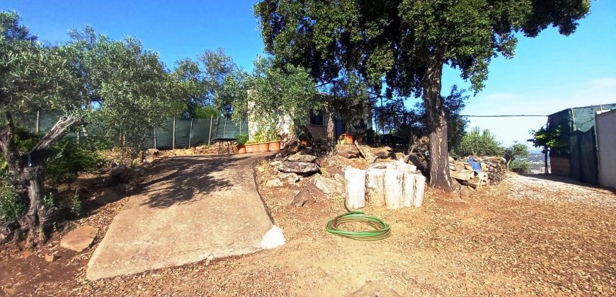Finca rústica – El Pedroso