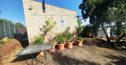 Finca rústica – El Pedroso