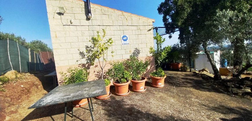 Finca rústica – El Pedroso