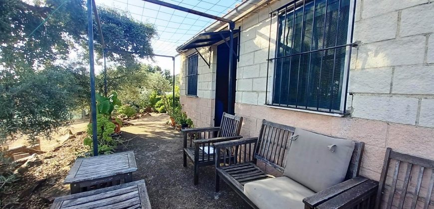 Finca rústica – El Pedroso