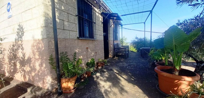 Finca rústica – El Pedroso