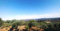 Finca rústica – El Pedroso