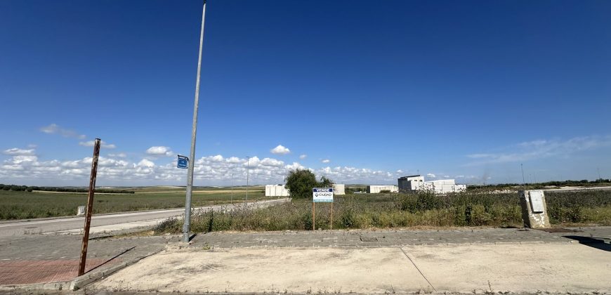 PARCELA INDUSTRIAL EN POLÍGONO PEMAR