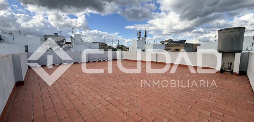 Casa con gran amplitud – Zona del Castillo