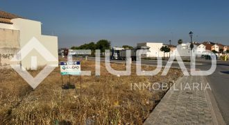 SOLAR EN VENTA EN LA ALGODONERA – LAS CABEZAS DE SAN JUAN