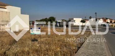 SOLAR EN VENTA EN LA ALGODONERA – LAS CABEZAS DE SAN JUAN