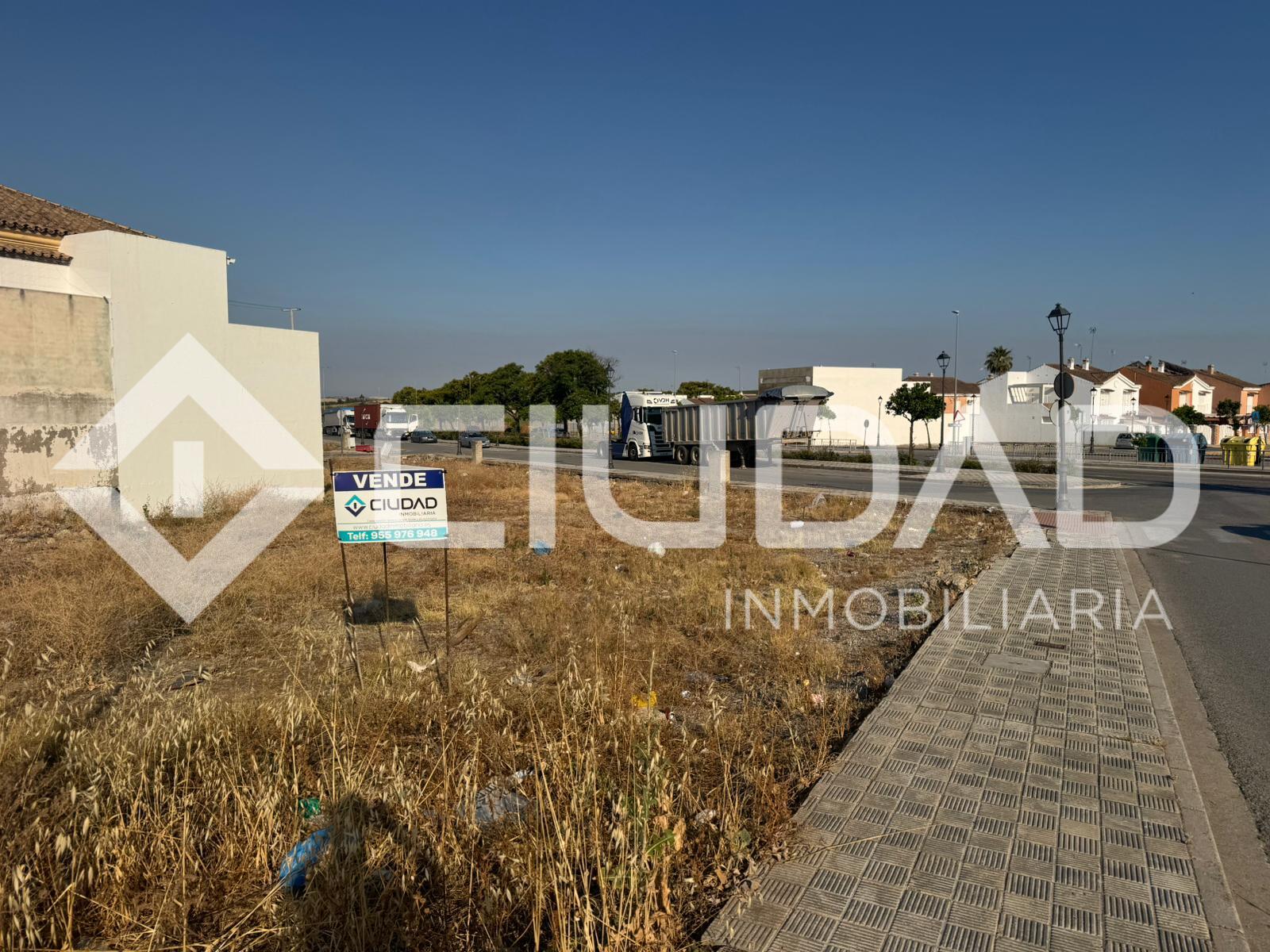 SOLAR EN VENTA EN LA ALGODONERA – LAS CABEZAS DE SAN JUAN