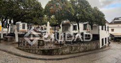 PISO – EL BOSQUE
