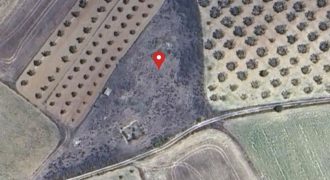 Terreno agrario – Manzanilla (Huelva)