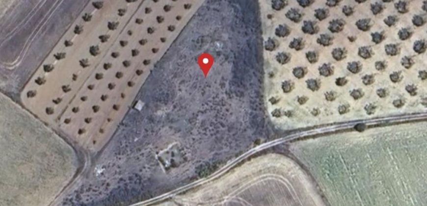 Terreno agrario – Manzanilla (Huelva)