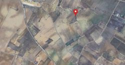 Terreno agrario – Manzanilla (Huelva)