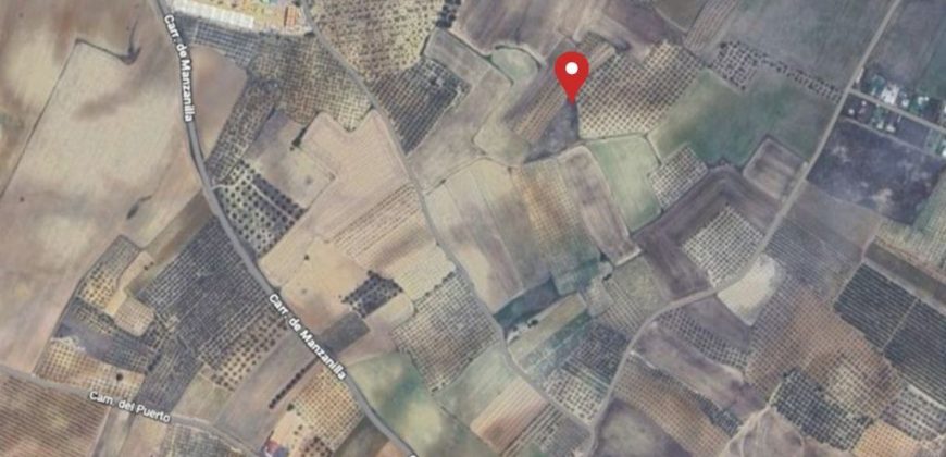 Terreno agrario – Manzanilla (Huelva)