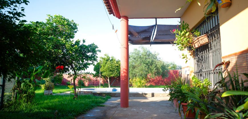 Chalet independiente en Pilas